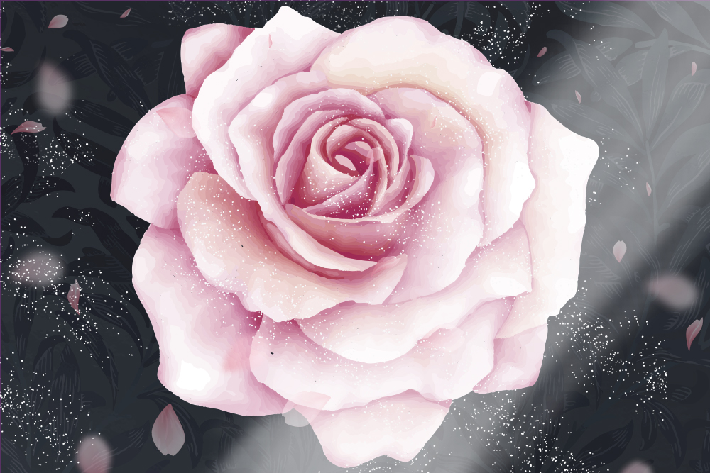 Carta-da-parati-rosa-sfondo nero