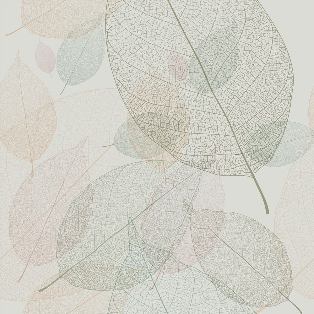 Clorophilia autumn