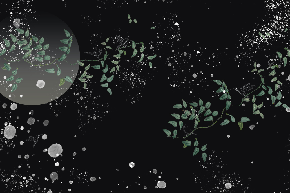 carta-da- parati-sussurro-di-natura-nero